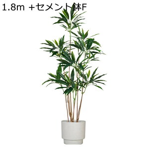 tFCNO[ ^ϗtA lHϗtA tFCNϗtA lHϗtA CeA  O C G} sv ͂Ȃ ͐Ak 傫 A O[ ͂Ȃ