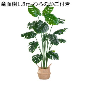 ϗtA oii̗t 180cm tFCNO[ ^ lH k ̂t ^Ηt u^ ͂ȂO[ A lHϗtA bsv C ͐A  뉀 iX K[