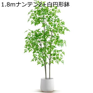 ^ϗtA tFCN 160cm tFCNO[ lHϗtA ie ^ϗtA sṽz[ QȂ ȒPb炸 ȒP Ύ  JƏj ֐ i