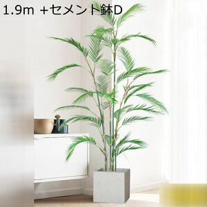 tFCNO[ V̖ ^ A lHϗtA k CeAO[ Mъϗt lHA ϗt ϗtA { bsv ͂ȂO[  Lb` It