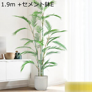 tFCNO[ V̖ ^ A lHϗtA k CeAO[ Mъϗt lHA ϗt ϗtA { bsv ͂ȂO[  Lb` It