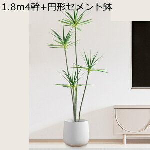 tFCNO[ eL[  160cm CeA A lHϗtA lHA ϗt lHt  Vv ItBX  ͂Ȃ sv t A j A ԉ