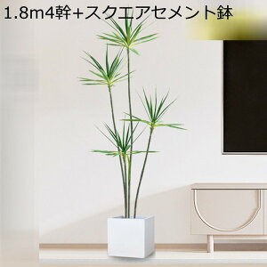 tFCNO[ eL[  160cm CeA A lHϗtA lHA ϗt lHt  Vv ItBX  ͂Ȃ sv t A j A ԉ