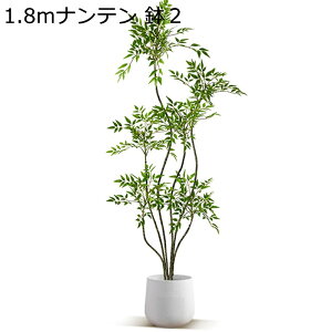 ϗtA ie 1.8m tFCNO[ ^TCY lH CeAO[ u A tFCNA ͂ȂO[ ͐A Vzj ̓ ̓ Mtg Ղ 蕨 p 