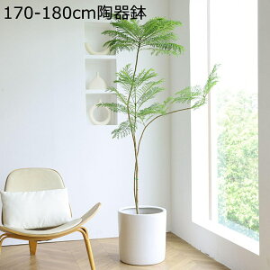 tFCNO[ KW} ^ϗtA lHϗtA 픫 tFCNϗtA lHϗtA CeA sv ͂Ȃ ͐A C Q쏜sv 傫 A b