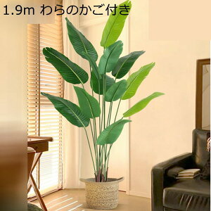 tFCNO[ Xe ^ oii̗t A lHϗtA ^Ηt CeAO[ ^Ηt ϗtA ϗt tFCNc[ { ȒPb炸 ͂Ȃ i`