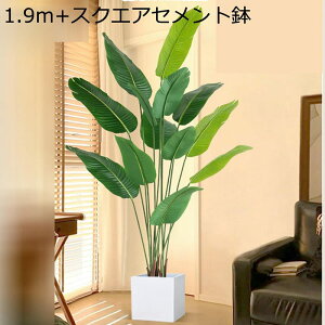 tFCNO[ Xe ^ oii̗t A lHϗtA ^Ηt CeAO[ ^Ηt ϗtA ϗt tFCNc[ { ȒPb炸 ͂Ȃ i`