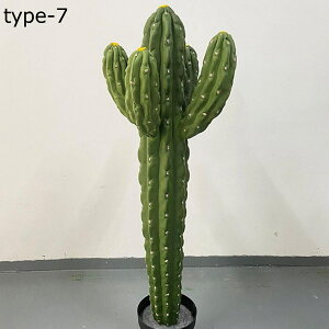 ϗtA T{e tFCNO[ ^TCY lH 133cm CeAO[ A  u A ϗt G} lHϗtA bsv ͐A 蕨 v[g ꂢ 