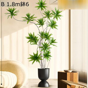 tFCNO[ eL[ CeA A lHϗtA Mъϗt ϗtA lHA ϗt  180cm 160cm t Vv ItBX  sv Q쏜sv  Eƒ