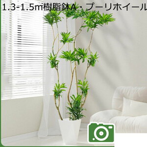 tFCNO[ | ^ϗtA lHϗtA tFCNϗtA CeA  O sv ͂Ȃ ȒP Vv 傫 A O[ sv ͂Ȃ ͐A