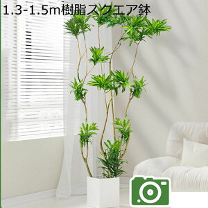 tFCNO[ | ^ϗtA lHϗtA tFCNϗtA CeA  O sv ͂Ȃ ȒP Vv 傫 A O[ sv ͂Ȃ ͐A