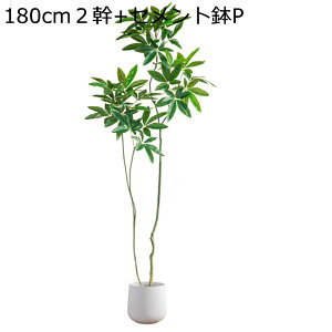 tFCNO[ ^ϗtA ̊ 180cm lHϗtA tFCNϗtA lHϗtA CeA {  O sv ͂Ȃ ͐A C Q쏜sv 傫