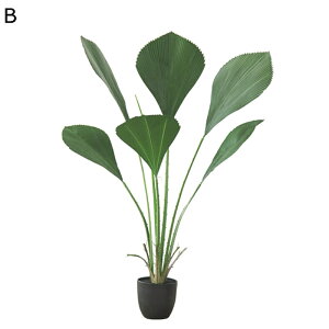 ^ϗtA tFCN tFCNO[ lHϗtA ~`t V̗t ^ sṽz[ Q̐SzȂ ȒP? RɒF u₩ lHϗtA  _ k j