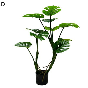 ^ϗtA Xe 180cm tFCN tFCNO[ 150cm lHϗtA ^TCY gsJ Tw| sṽz[ Q쏜sv ȒP ׍HJ Rȗt JƏj