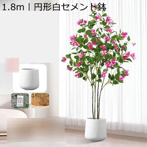 tFCNO[ ~  CeA A lHϗtA ϗtA v~A lHA ϗt ̂t ͂Ȃ ͐A sv  rO xbh[ JtF 