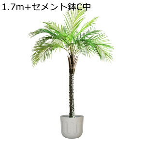 lHϗtA ^ V̖ 170cm tFCNO[ 1{ Mъϗt sv Q쏜sv lH tFCNA f[ u ϗt ցELb`EItBXEx_E