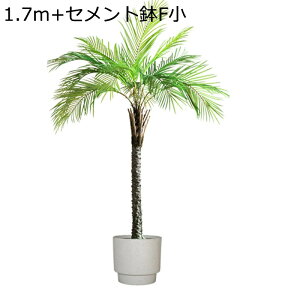 lHϗtA ^ V̖ 170cm tFCNO[ 1{ Mъϗt sv Q쏜sv lH tFCNA f[ u ϗt ցELb`EItBXEx_E