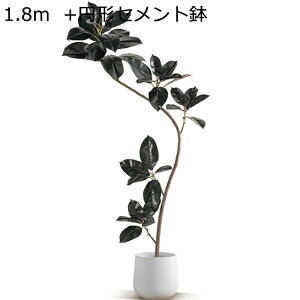 tFCNO[ ^ A lHϗtA CeAO[ tFCNc[ ^Ηt ϗtA ϗt { ȒPb炸 ͂Ȃ lHt lH i`  뉀