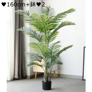 lHA  lH ^ tFCNO[ oii̖؂̗t st Tw| lHV̖ ^Ηt oii̗t MѐA r[` rO[ ItBX 180cm 70cm  O 傫ȃoii