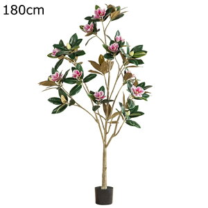 lHϗtA ^ ʗ  sN 160cm tFCNO[ 1{ ȒP sv Q̐SzȂ lH tFCNA  тѕ A  p[eB[̌ ϗt 