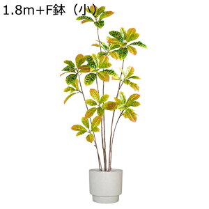 ^ϗtA KW} 180cm tFCN tFCNO[ lHϗtA 6̊ 傫 sṽz[ Q̐SzȂ ȒPb炸 RɒF u₩ tFCNt A _ 