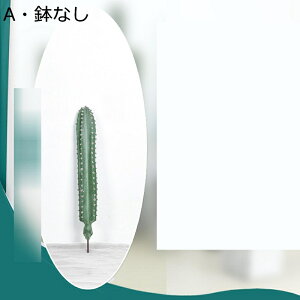 ϗtA tFCNO[ 155cm T{e A  t lHϗtA JN^X A bsv ׍HJ CeAO[  CeAG |bg A 傫 