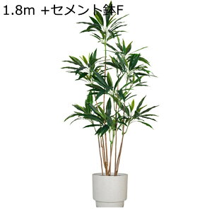 ϗtA tFCNO[ 160cm ^TCY lH u^ CeA rO[ ͂ȂO[ A lHϗtA sv ͐A k v~A ̓ hV̓ j