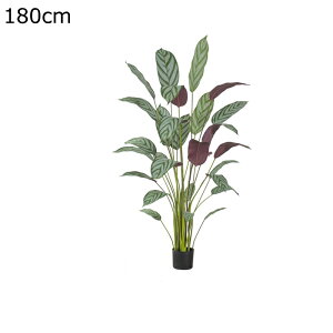 ϗtA tFCNO[ 160cm ^TCY lH u^ ͂ȂO[ CeAO[ A lHϗtA ȒPb炸 sv ͐A k 蕨 v[g ꂢ 