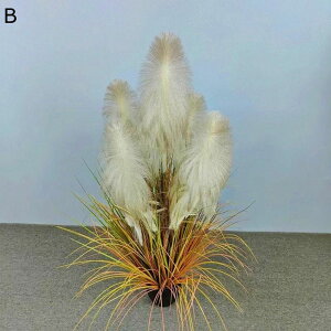 tFCNO[ H 180cm ^ϗtA lHϗtA tFCNϗtA lHϗtA CeA  O sv A O  ItBX a G} ԕ Q̐SzȂ 