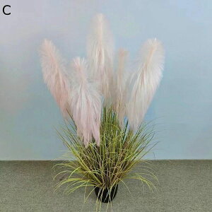 tFCNO[ H 180cm ^ϗtA lHϗtA tFCNϗtA lHϗtA CeA  O sv A O  ItBX a G} ԕ Q̐SzȂ 