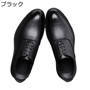 vC YrWlXV[Y jp Sn RtH[g E₷ IbNXtH[hV[Y ʋC h h 傫TCY X[cV[Y  jp JWA