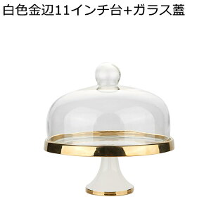 t[cv[g P[LX^h P[L R|[g Z~bN W fU[gX^h ʕM فE߁E܂ݓ H P[LgC t[c T[rO{E   