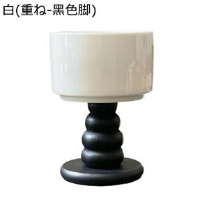 ptFJbv fU[gJbv vJbv Z~bN tX T_ t[c insoG v ACXN[ {E X M  p[eB[ p Ɩp ƒp fU[g r