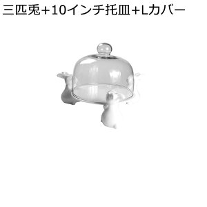 P[LX^h M e P[LgC t[cv[g KX T[rO{E XibNgC فE߁E܂ݓ P[LgC hCt[cv[g ʕ[ 炵 j