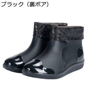 hV[Y CV[Y PVC K  Ղ Y ZC Xj[J[ ނ ʊw ~J x[VbN t@bV 킢 Jp ~  h ϖ y ԃV[Y