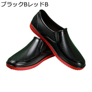 hV[Y CV[Y ₷ Xb| \tg Y ZC ނ ʊw ~J NVbN JWA  Jp ~  h ϖ y JWAV[Y