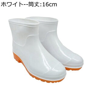 C Cu[c Ou[c nCJbg \tg jp h ܂ u[c  y EF[fBOu[c _ Rэ 䕗 K[fjO Vv Be[W  h