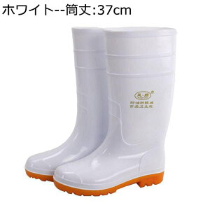 Cu[c hC PVC u[c ƌC C \tg Y ~  y h ϖ EF[fBOu[c  NVbN  ₷  ~J ʊw J