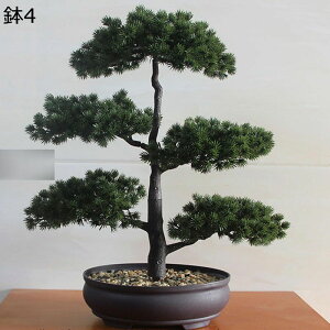 tFCNO[   ϗtA lHϗtA   tFCNϗtA lHϗtA CeA  O sv ԕ Q̐SzȂ AȎ} ~͂̃TCY A 