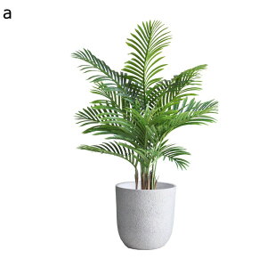 ϗtA AJV 170cm 150cm tFCNO[ ^TCY lH u^ ͂ȂO[ A lHϗtA sv ~͐A f[ K[fjO v[g /O 