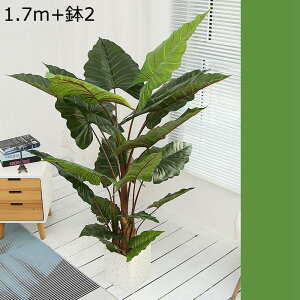 ϗtA tFCNO[ ^ lH u^ ͂ȂO[ ACr[K[h ^Ηt A tFCNA ȒPb炸 bȂ k sṽz[ ~͐A  LO