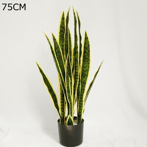 lH~ lHϗtA TXxA 48cm A ^ tFCNO[ tFCNA bsv ͂Ȃ tFCNA X /O z[K[f zj Be  i