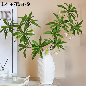 lH~ KW} 1{  lHϗtA A ԕrt 60cm ^ tFCNO[ tFCNA ͂Ȃ sv tFCNA  LO  Mtg  rO
