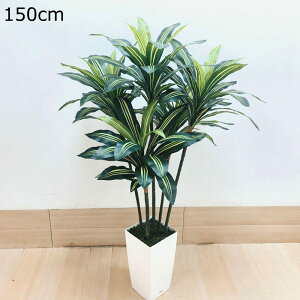 tFCNO[ hZi 150cm CeA A lHϗtA lHA ϗt lHt  Vv ItBX  sv Q쏜sv t A  O CeA 