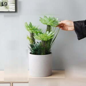 CeA O[ T{e ϗtA TCY tFCNO[ A p lHϗtA sṽz[ A QȂ ȒPb炸 A  _ 