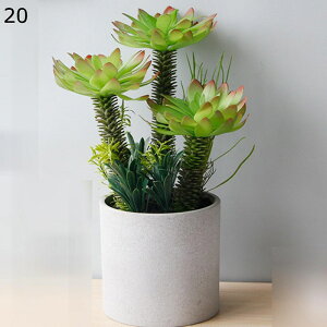 CeA O[ T{e ϗtA TCY tFCNO[ A p lHϗtA sṽz[ A QȂ ȒPb炸 A  _ 