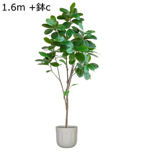 lHϗtA ^ 140cm 160cm KW} tFCNO[ 1{ tFCNc[ bsv ͂Ȃ lH tFCNA fR[V /O A  ϗt CeA 