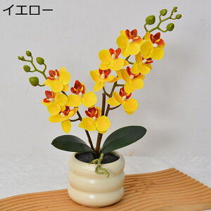  ͂Ȃ   CeA ϗtA  ԑ { ԕrt ͂Ȃ  Vv 蕨 v[g p  u[P e[u EFfBO  Be 