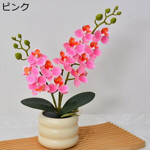  ͂Ȃ   CeA ϗtA  ԑ { ԕrt ͂Ȃ  Vv 蕨 v[g p  u[P e[u EFfBO  Be 