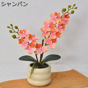  ͂Ȃ   CeA ϗtA  ԑ { ԕrt ͂Ȃ  Vv 蕨 v[g p  u[P e[u EFfBO  Be 